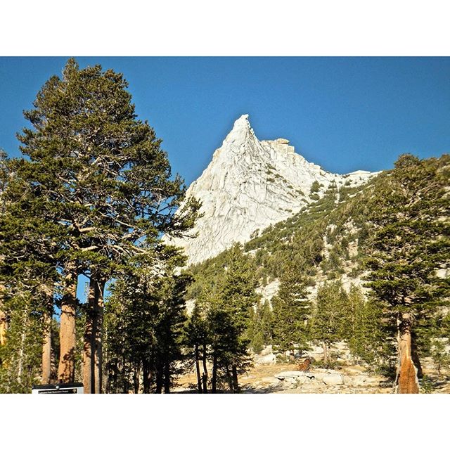 It's hot in SoCal! "The mountains are calling". Aren't we all dreaming of perfect beautiful High Sierra granite these days... Yes it's that time of the year. ⛰️⛰