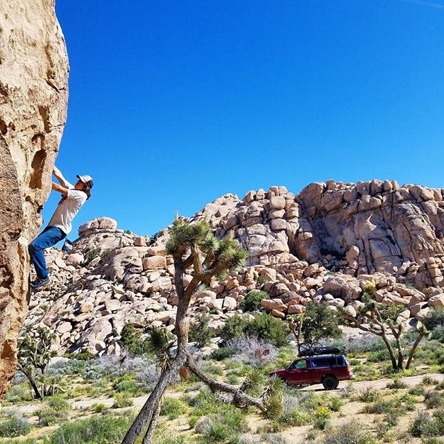 Fun bouldering circuit in JTree. @nakededgephotography showing us how to style granite edges. Always fun to explore new climbs.