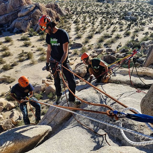 @c.w.norwood and @the_cosmic_snakob in action! Teaching rappeling in beautiful JTree.