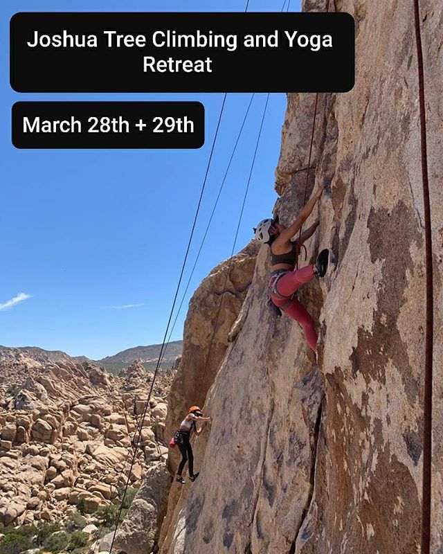 Join us for a weekend of exploration in the desert. Together with @kendallanneyoga we will embark on a mission to provide an intentional and fun get away to our most favorite climbing and nature spot! Click the link in bio for signing up and more infos. We cant wait to see you out there ?